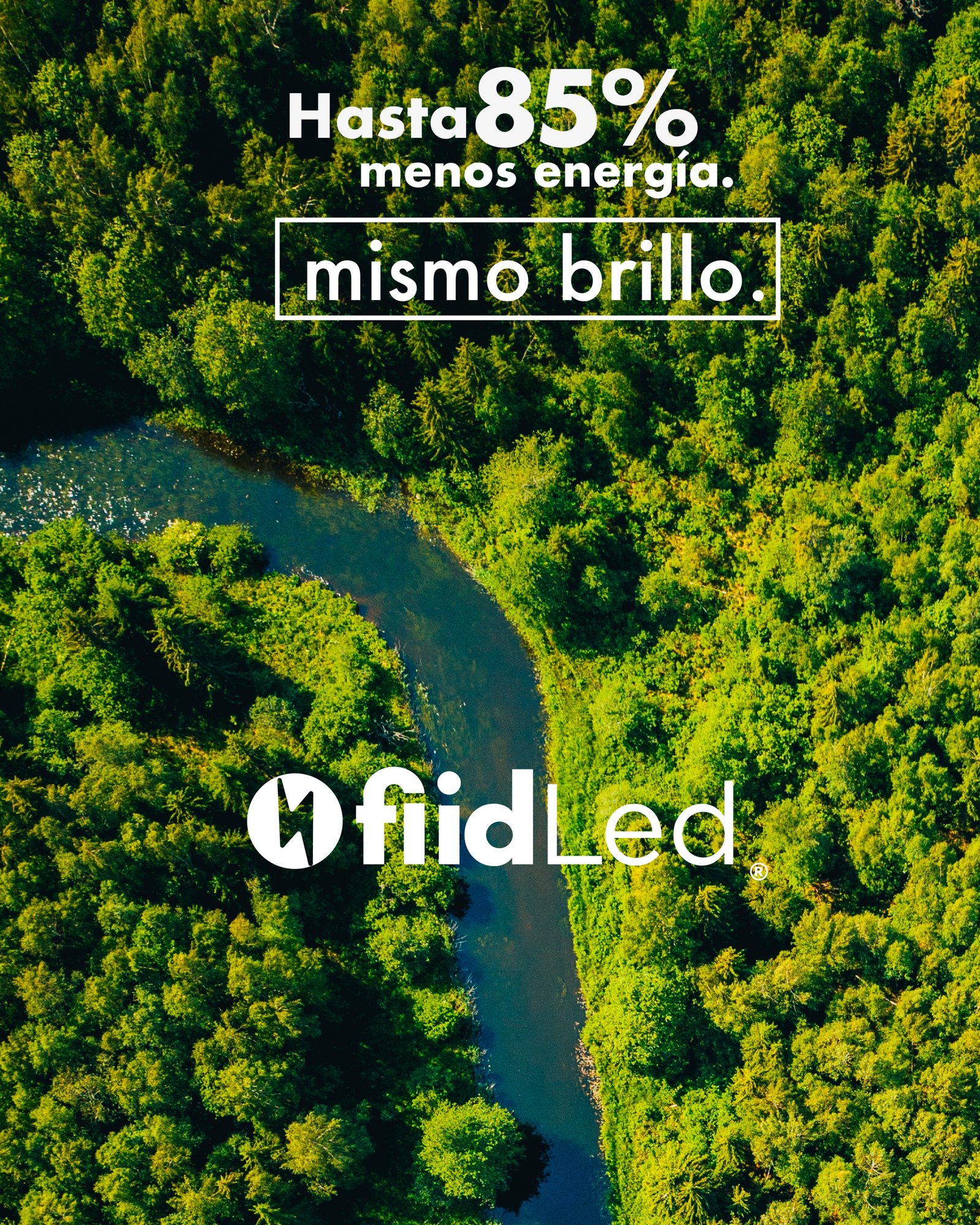 LUZ_Mesa de trabajo 1 copia
